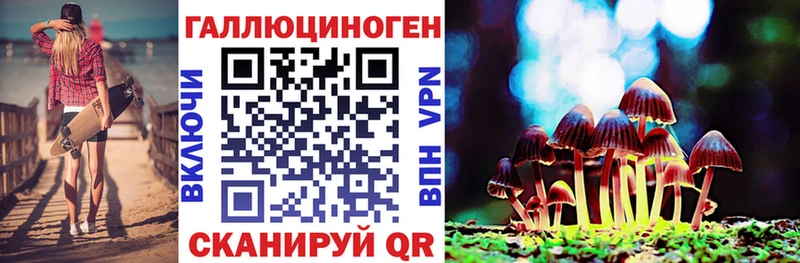где купить наркоту Россошь Псилоцибиновые грибы Cubensis